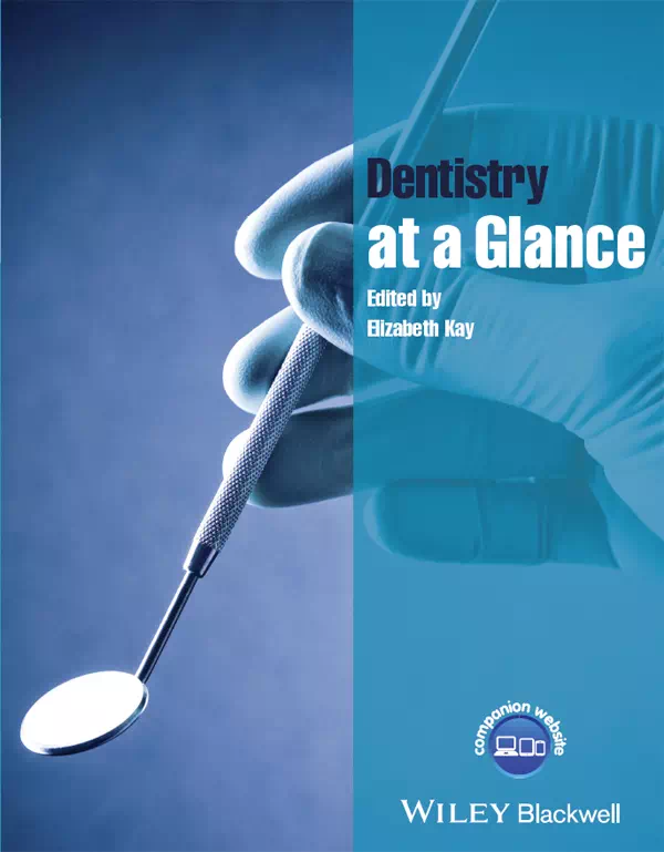 Dentistry at a Glance - Elizabeth Kay